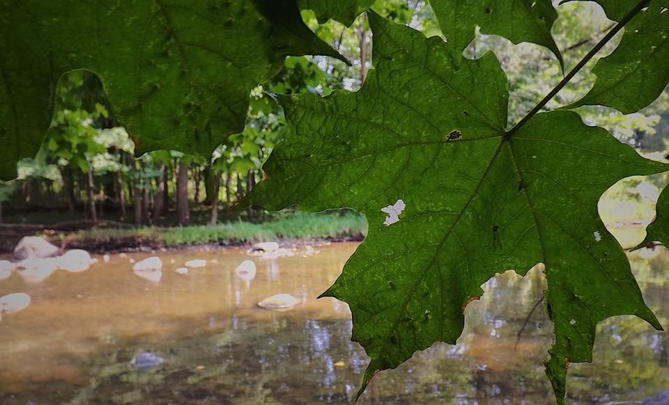 Summer hike in Wisconsin